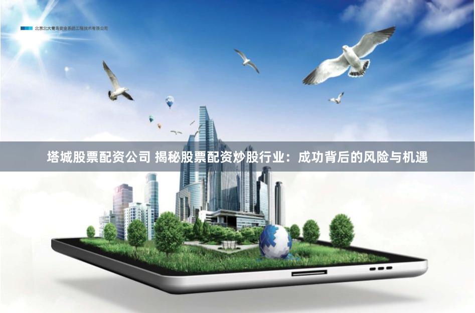 塔城股票配資公司 揭秘股票配資炒股行業(yè)：成功背后的風險與機遇