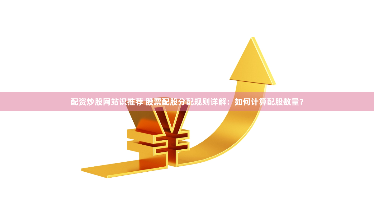 配資炒股網站識推薦 股票配股分配規則詳解：如何計算配股數量？