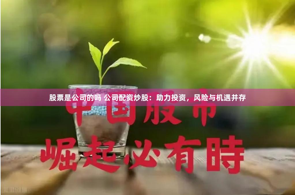 股票是公司的嗎 公司配資炒股：助力投資，風險與機遇并存
