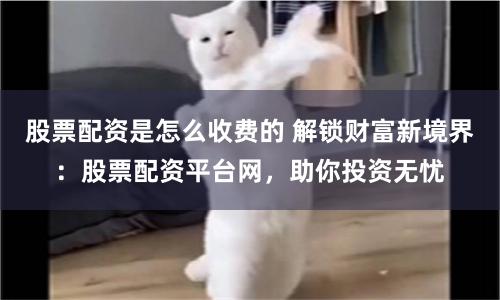股票配資是怎么收費的 解鎖財富新境界：股票配資平臺網，助你投資無憂